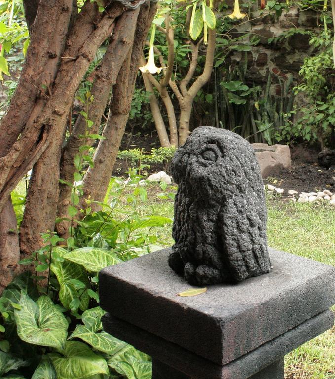 Posada Tlaxcala Tlaxcala de Xicohténcatl Buitenkant foto
